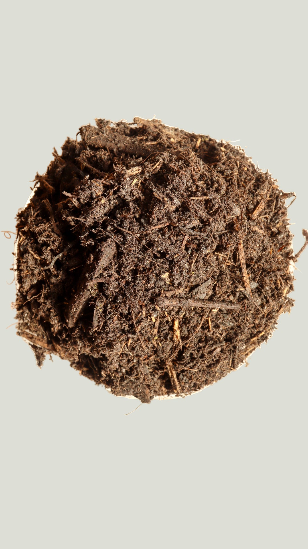 Organic compost in a dish