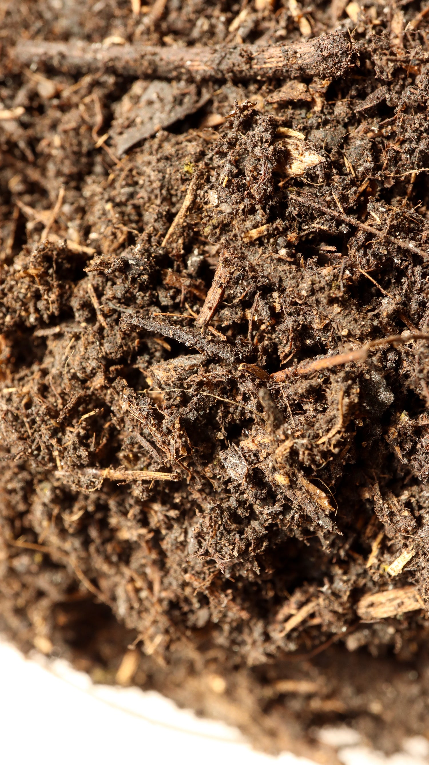 A close up macro shot of organic compost