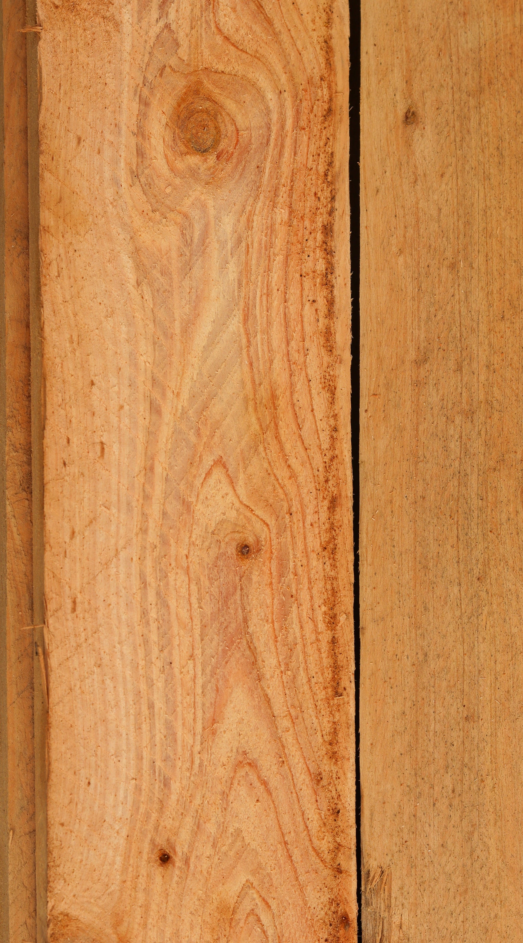 Close-up of wooden planks with visible grain and texture