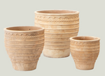 Three terracotta pots of different sizes