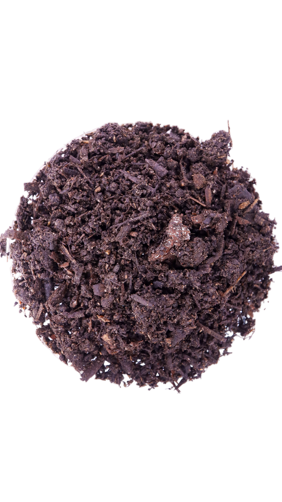 A dish of soil and compost mix