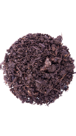 A dish of soil and compost mix