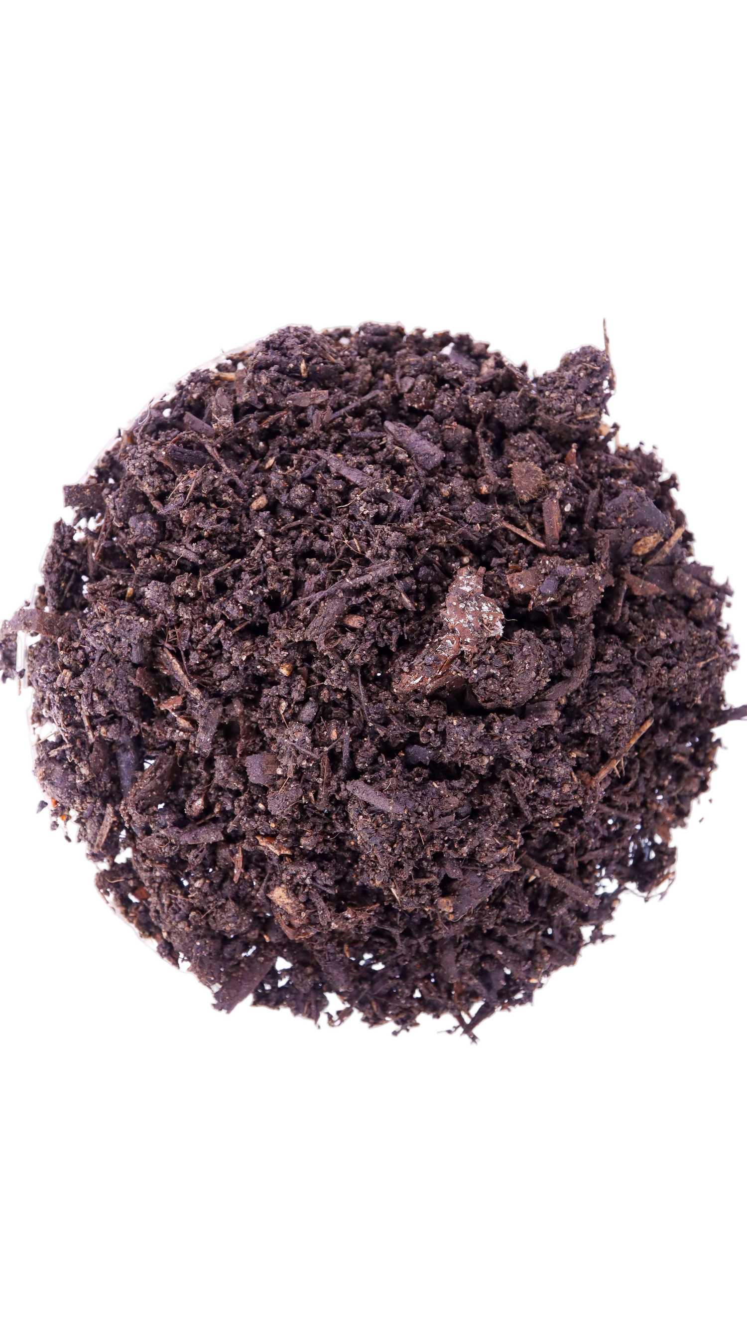 A dish of soil and compost mix