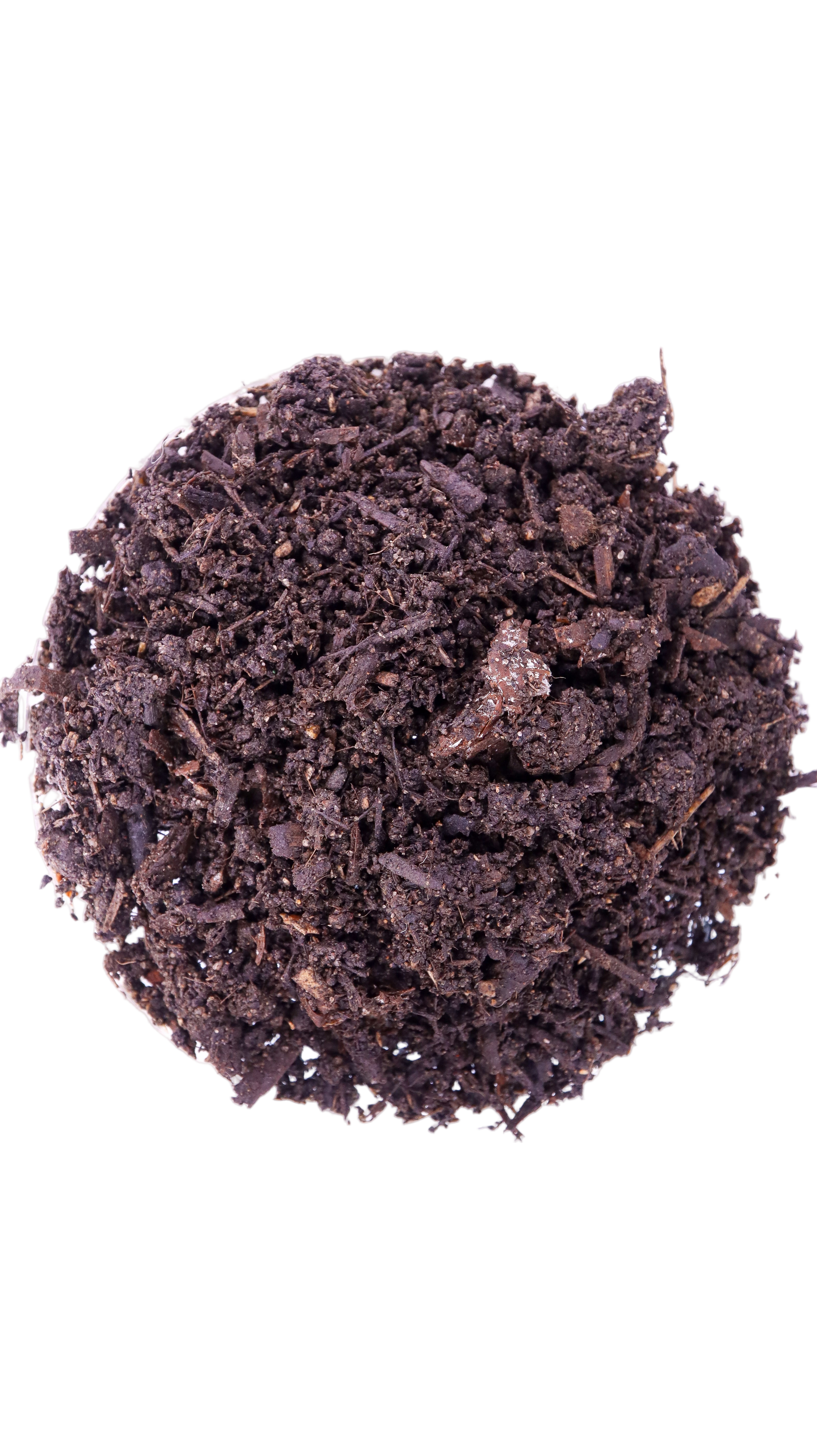 A dish of soil and compost mix
