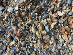 Coldstream Toppings Bulk