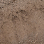 Lawn Mix Soil (Sandy Loam) Bulk