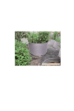 Metal planters with green plants