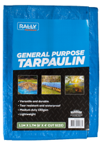 Tarpaulin 6' x 4' (1.7m x 1.1m) Blue
