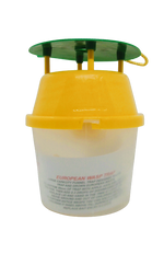 European Wasp Trap