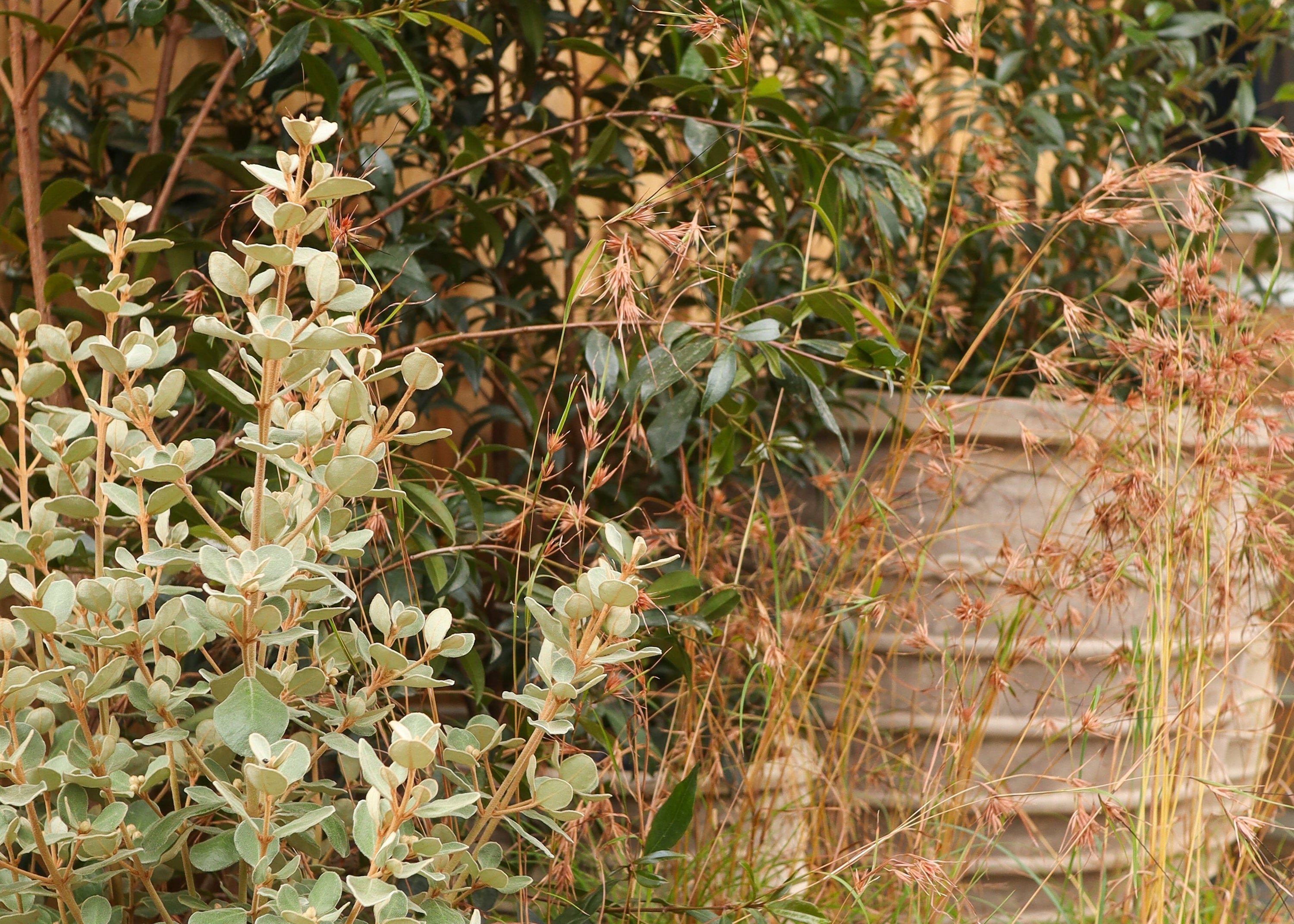 Stocking Up on Plants