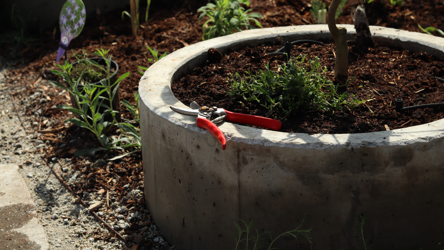 Your Local Garden Supply Centre in Eltham: What Sets Us Apart