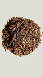 Organic compost in a dish