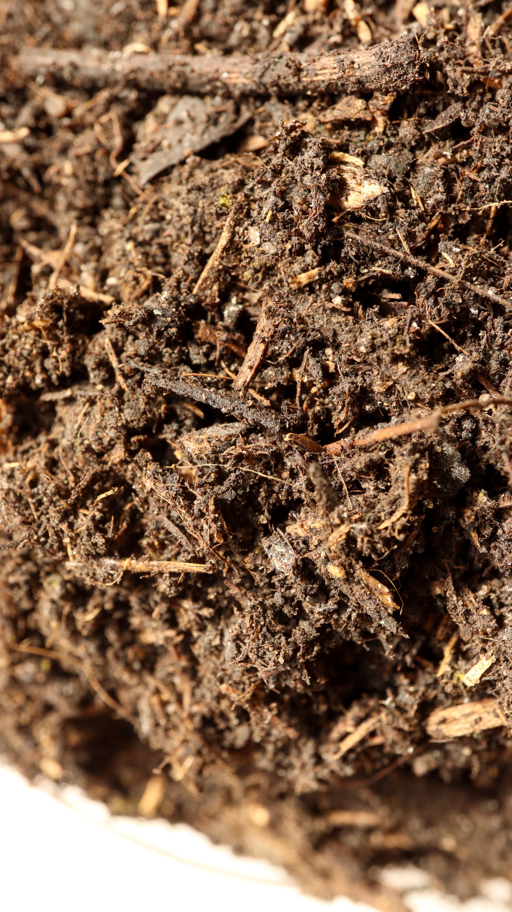 A close up macro shot of organic compost