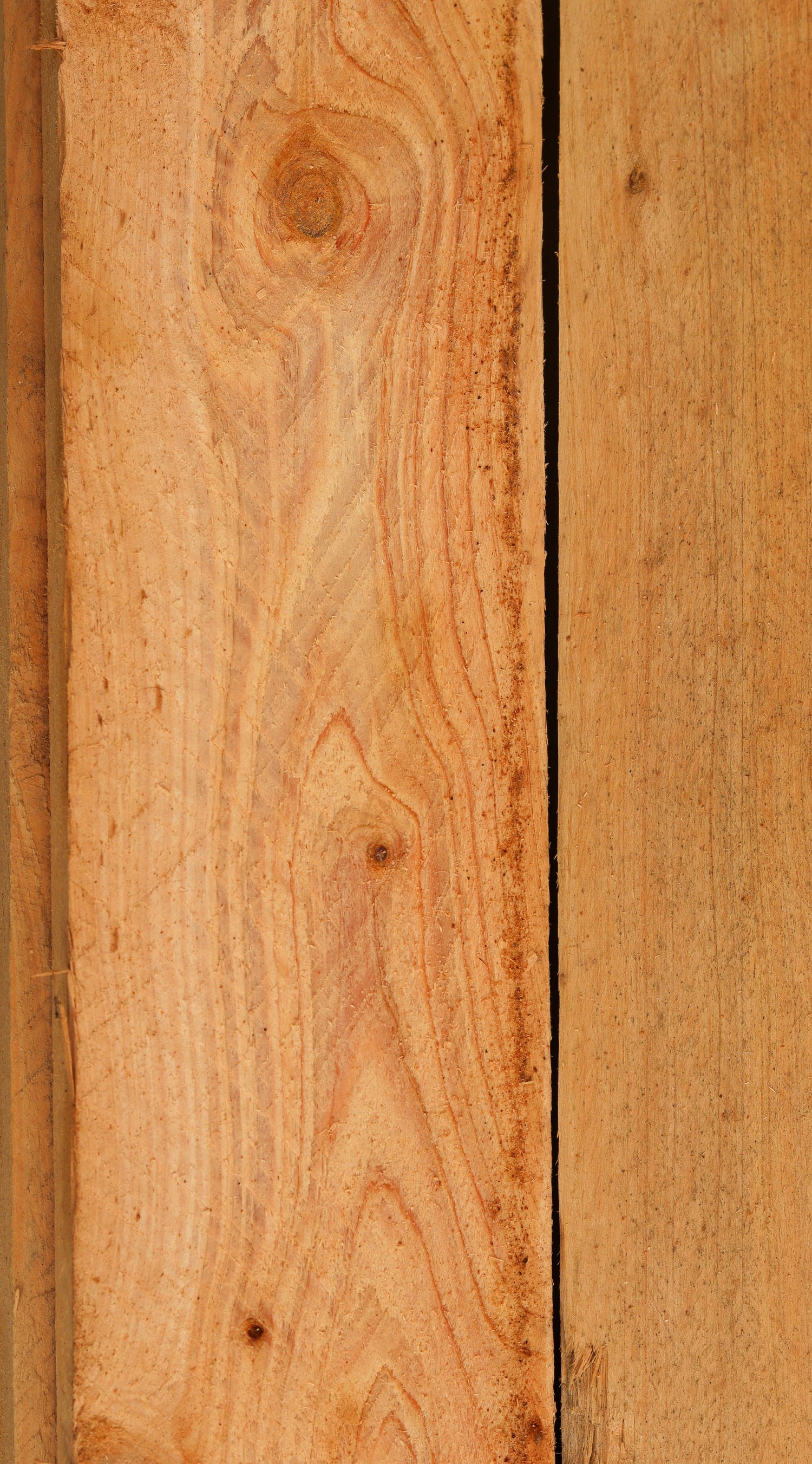 Close-up of wooden planks with visible grain and texture