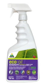 750ml spray bottle of organic eco-oil insecticide