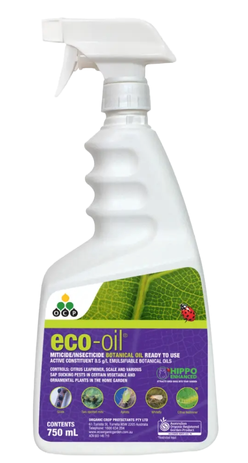 750ml spray bottle of organic eco-oil insecticide