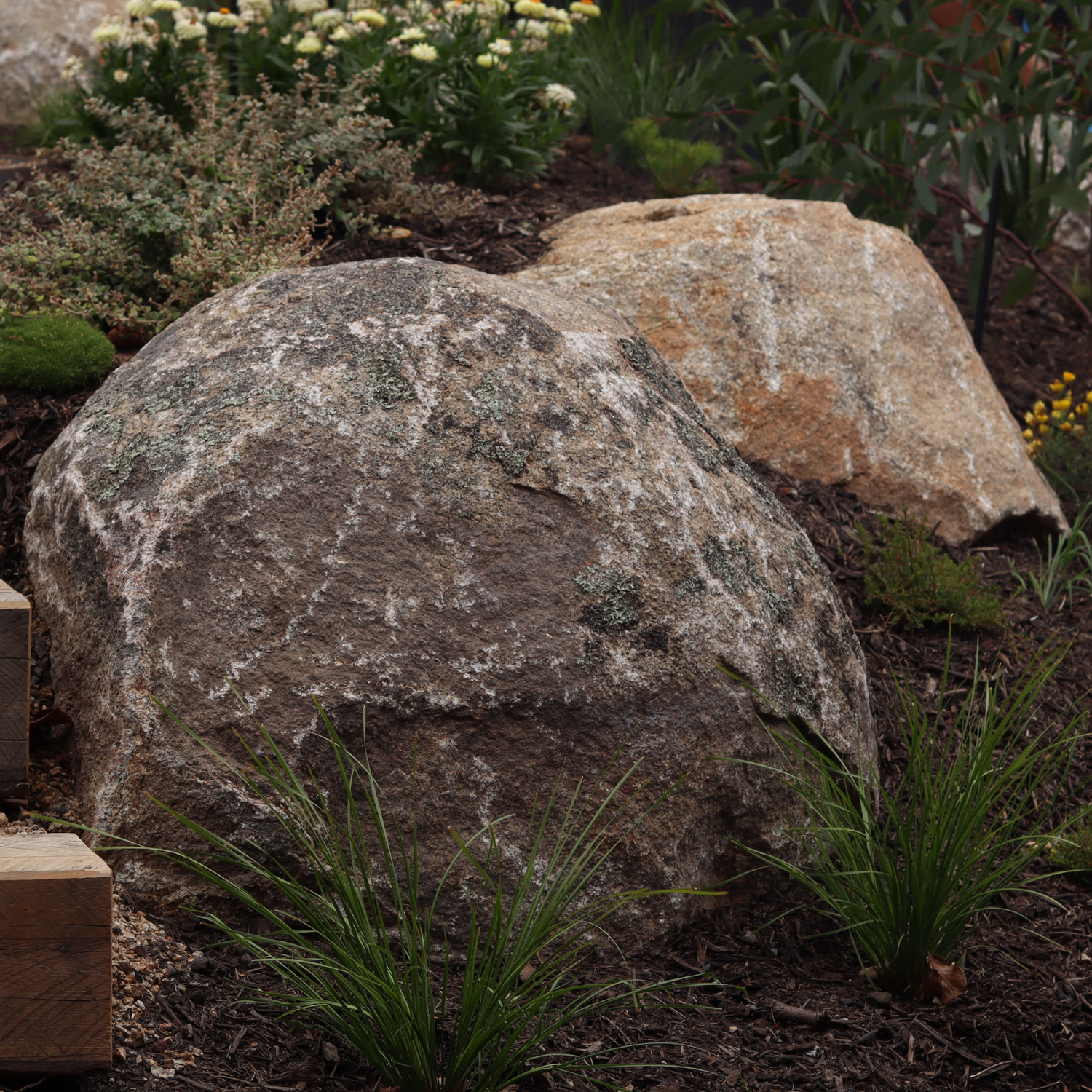 Field Granite Rock