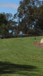 Freshly laid turf wraps a native garden bed