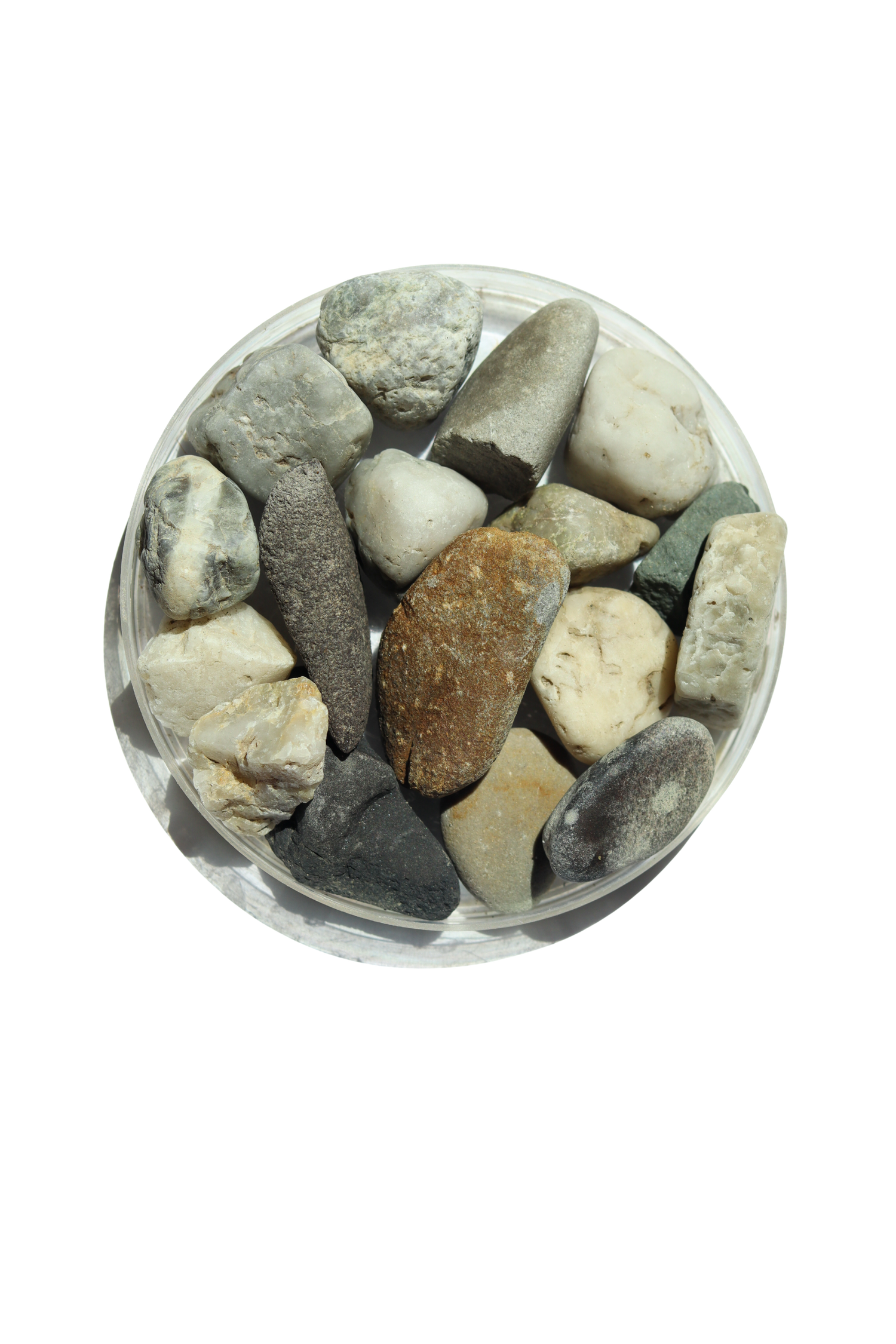 Seymour Pebbles 20mm Bag