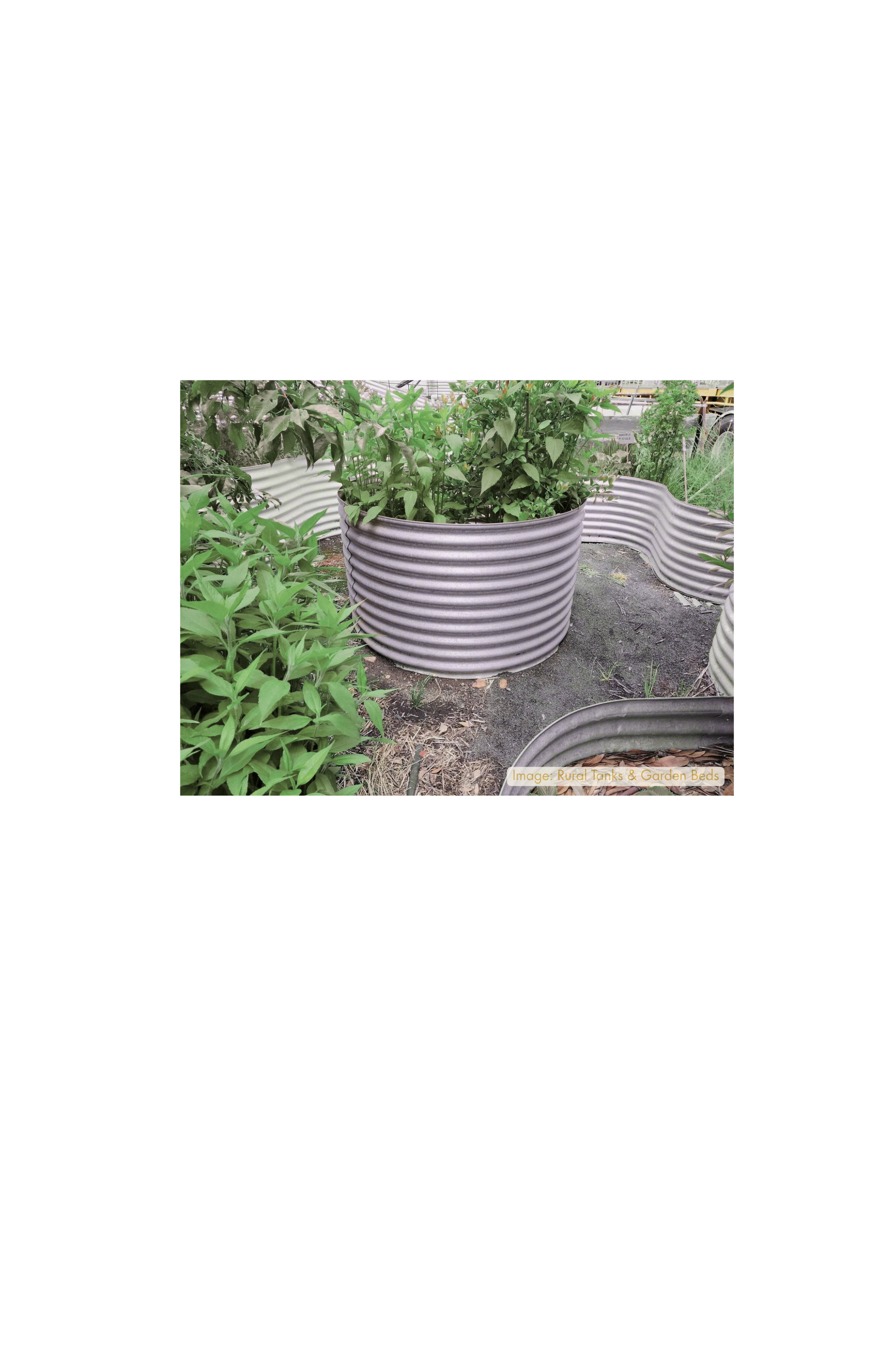 Metal planters with green plants