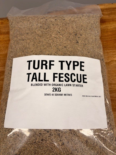 Tall Fescue Seeds