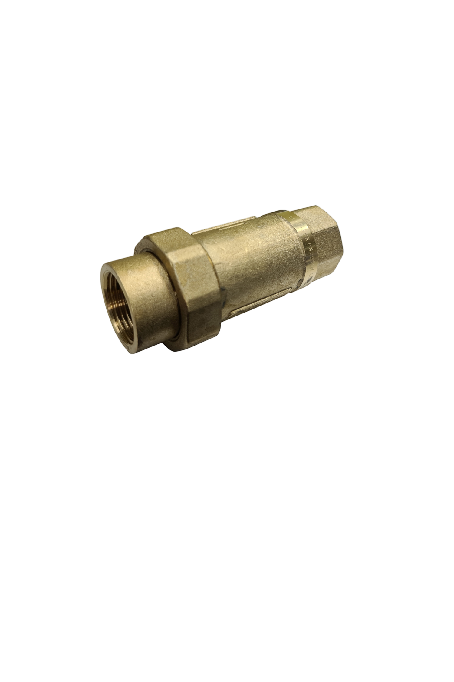 25mm Dual Check Valve - Female/Female
