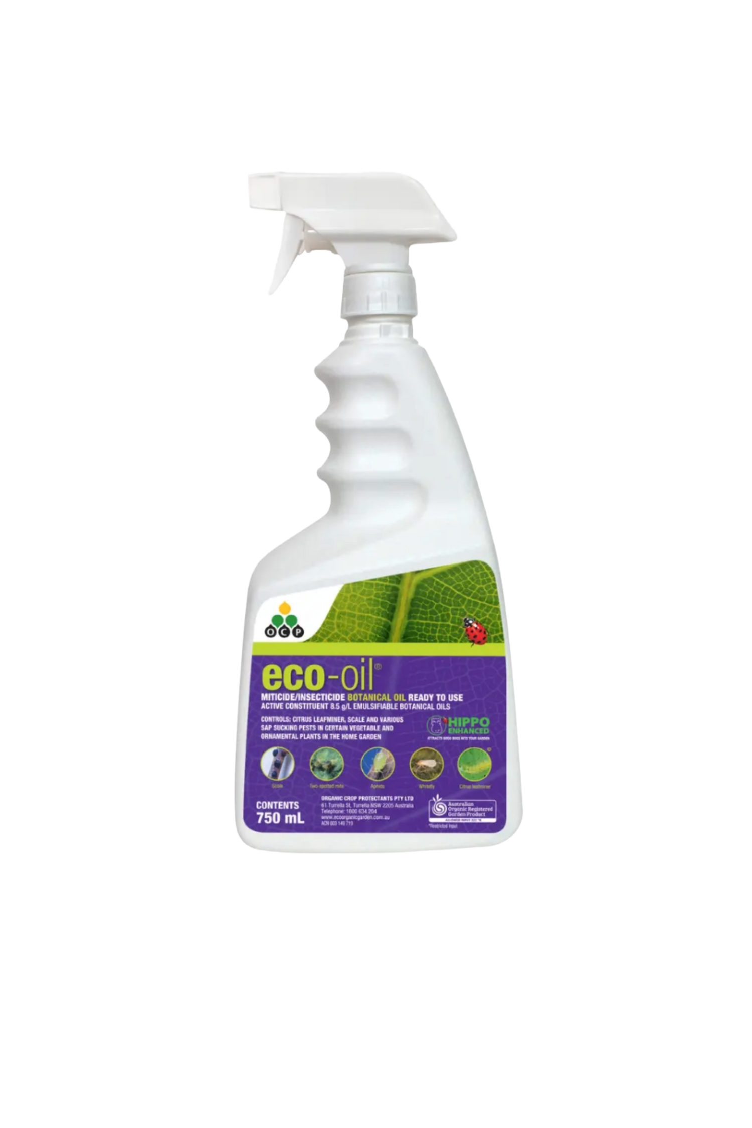 Spray bottle labeled 'eco-oil' 