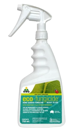 Eco Fungicide