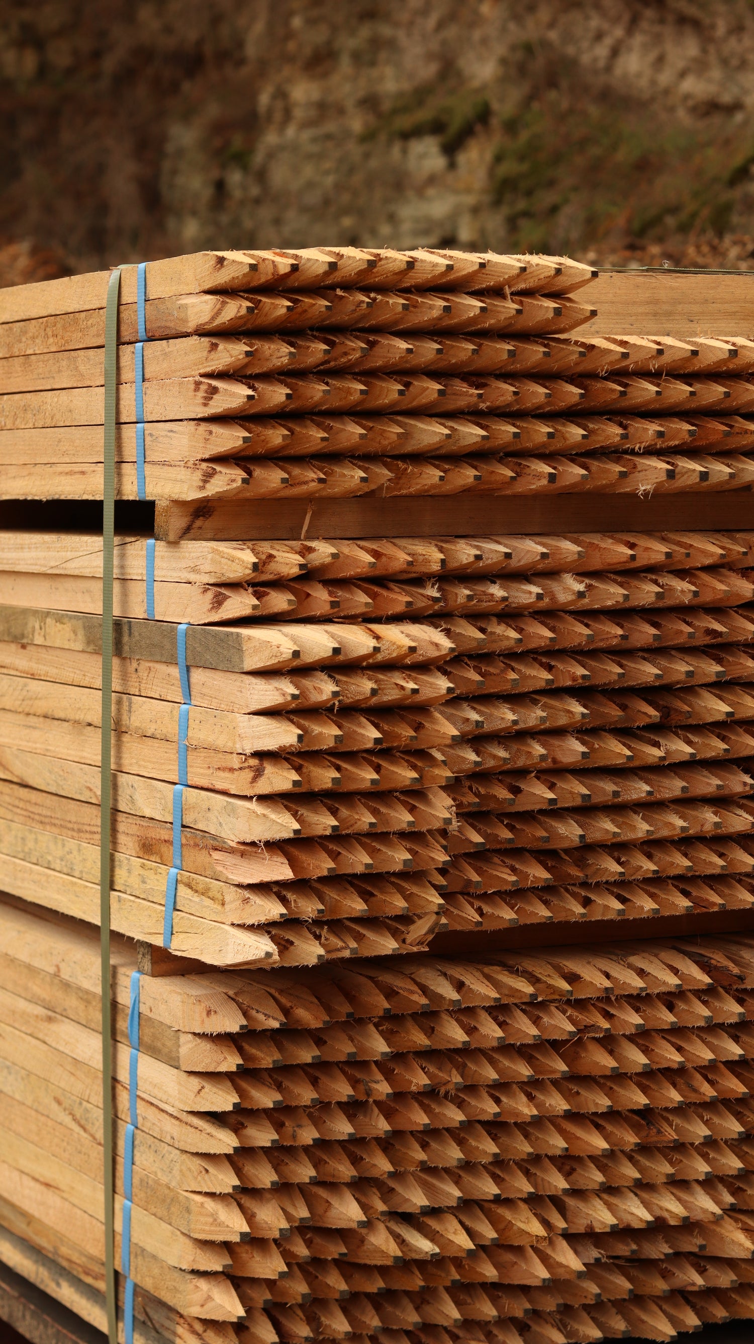 A pallet of timber garden stakes 