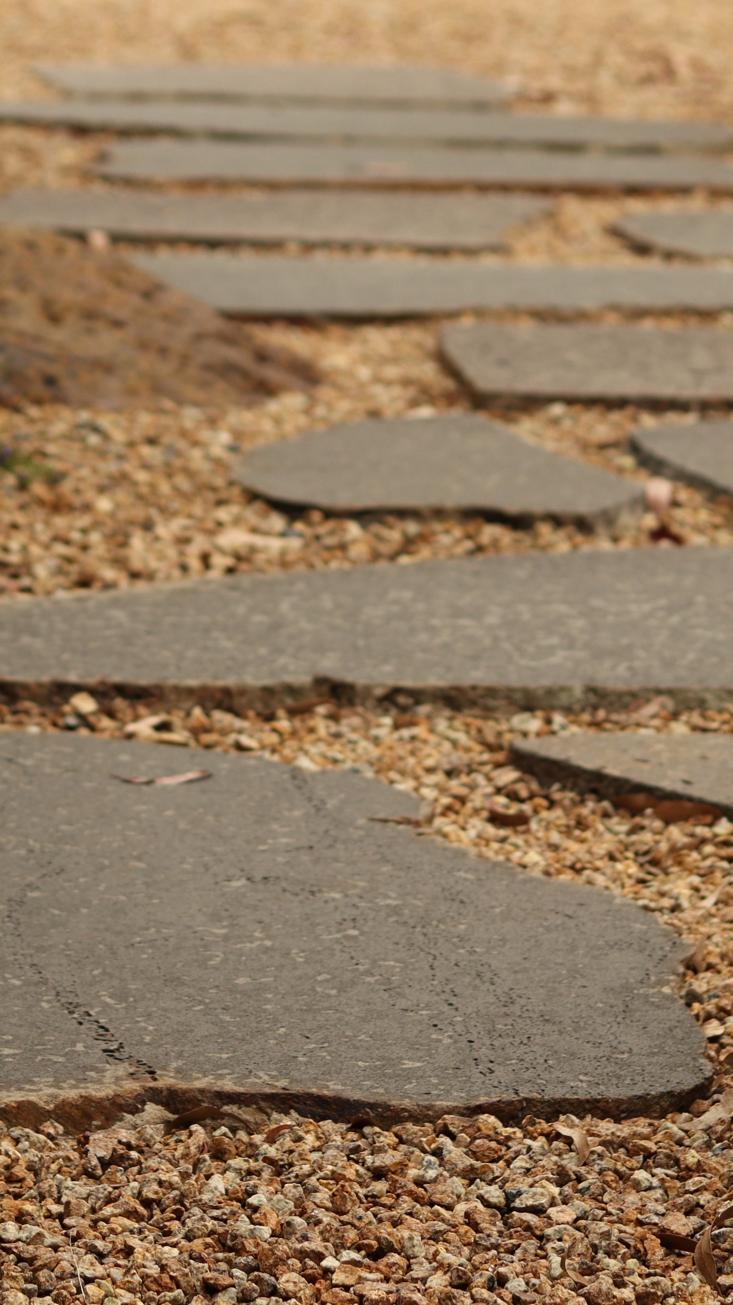 Sawn Bluestone Stepping Stones