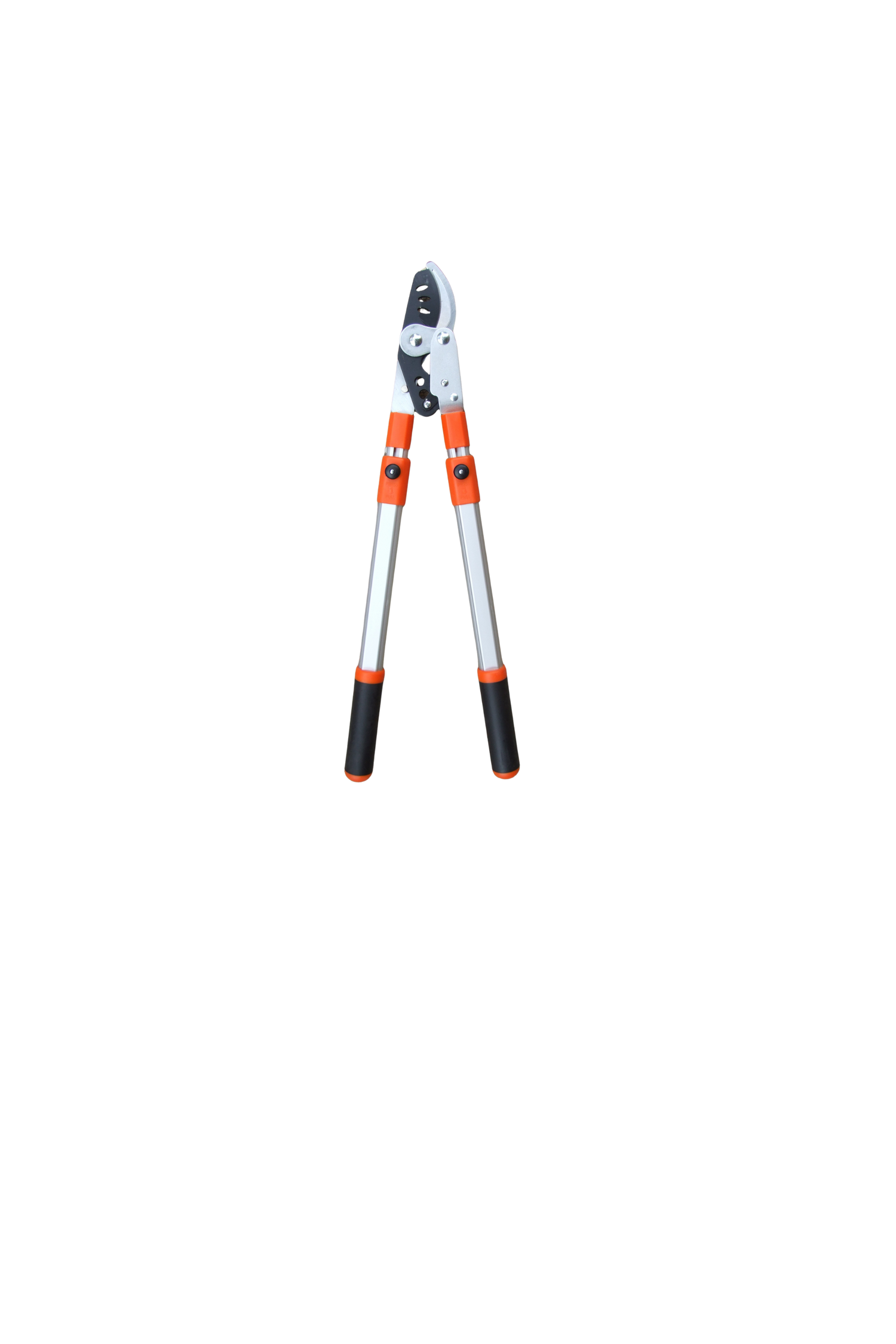 Ryset Telescopic Bypass Lopper