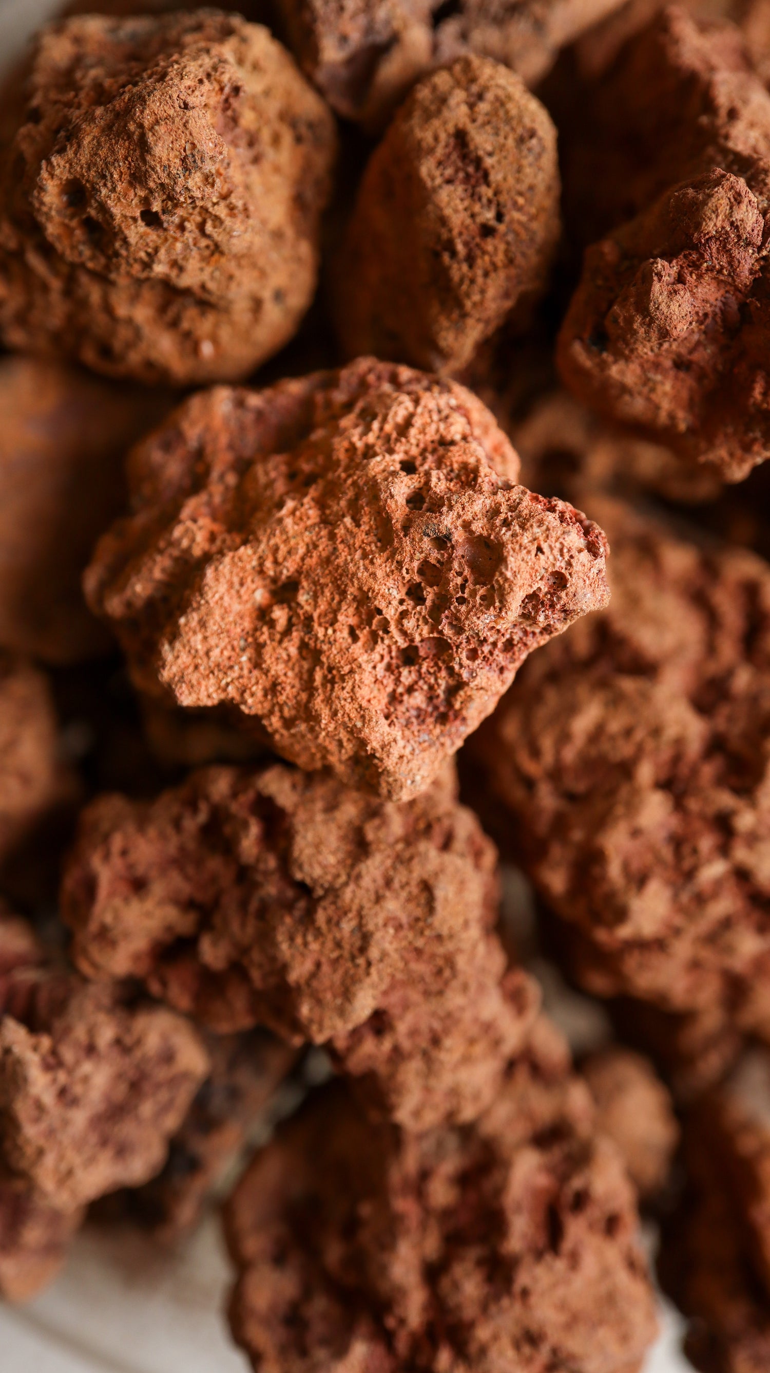 Close-up of chocolate truffles with a blurred background